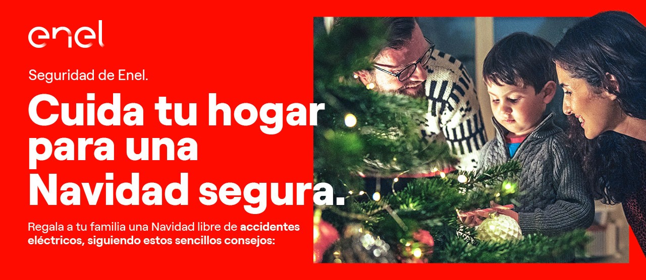 Navidad Segura Enel Cl